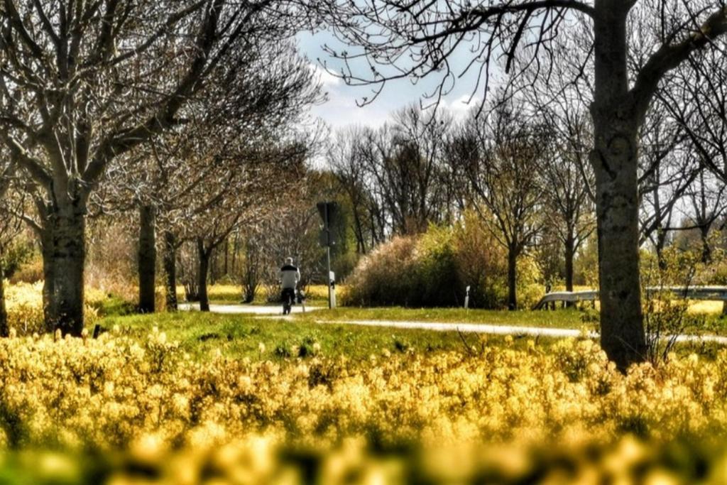 Apartmentvermittlung Mehr Als Meer - Objekt 7 Niendorf  Exteriör bild